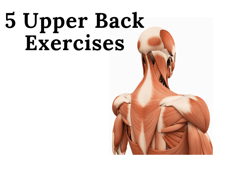 5 Upper Back Exercises